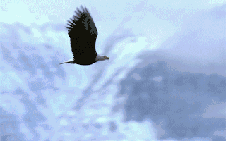 多家A股公司透露脑机接口技术进展和产品动态